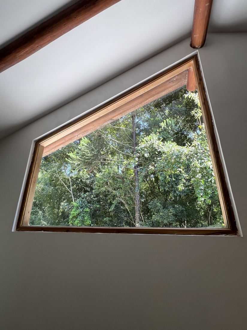 Ventana a las copas de los árboles