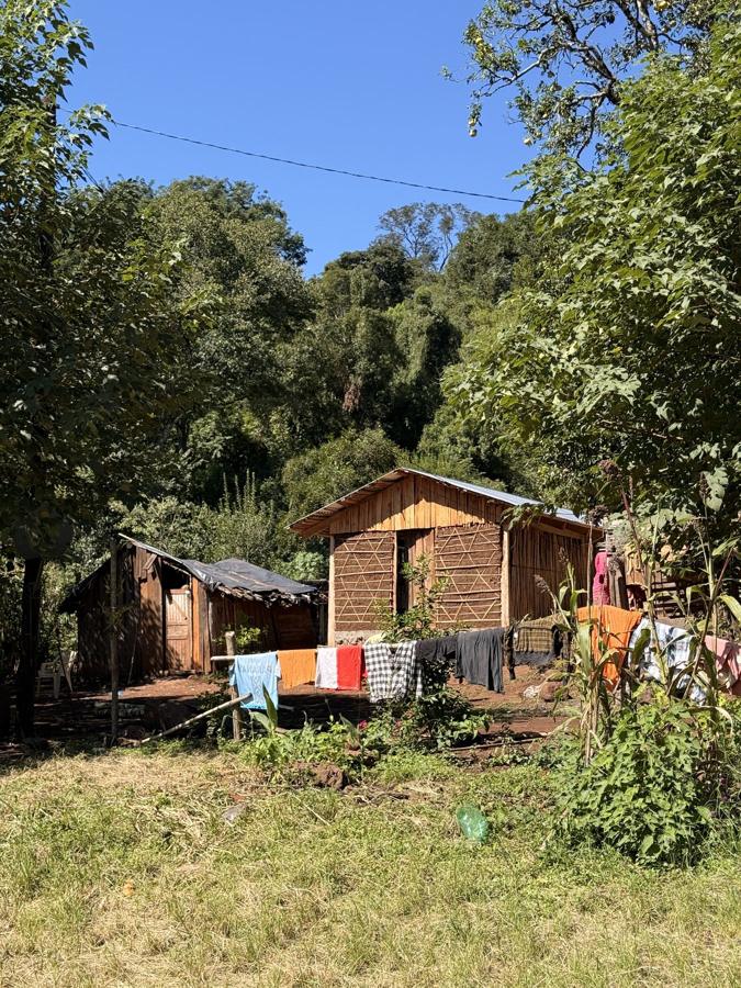 Casas de la comunidad Perutí Paranay entre la selva